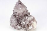 Dark Purple Cactus Quartz (Amethyst) Crystal - South Africa #206257-1